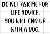 End Up With a Dog