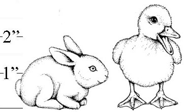 Duck and Bunny