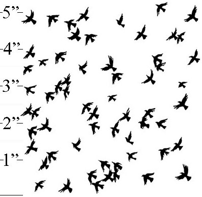 Flying Birds Background