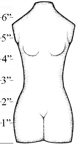 Large Female Torso