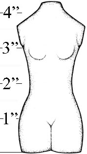 Medium Female Torso