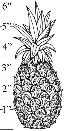 Pineapple