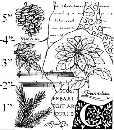 Poinsettia Background
