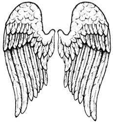 Wings